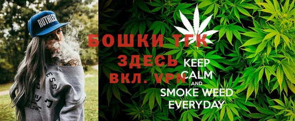 тгк Богданович