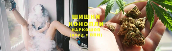 тгк Богданович