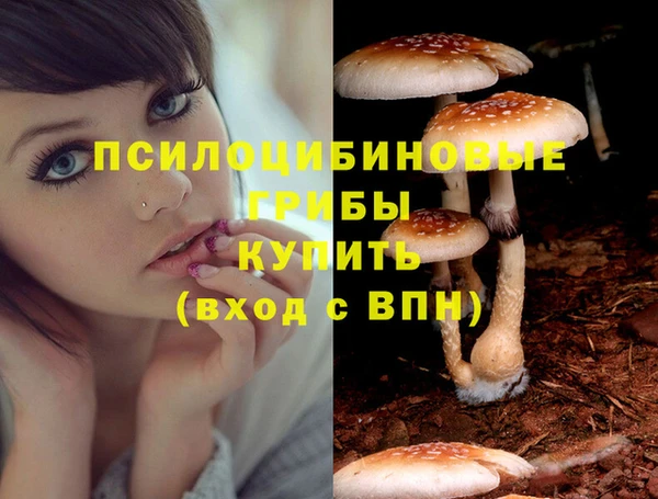 МДМА Богородск
