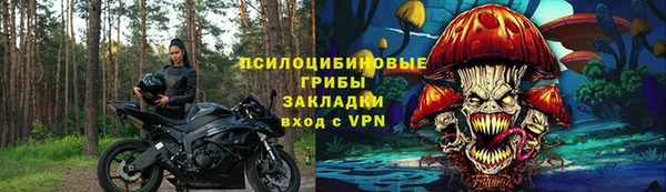 тгк Богданович