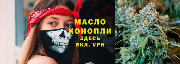 тгк Богданович