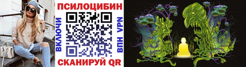 Псилоцибиновые грибы Psilocybe  Шахунья 